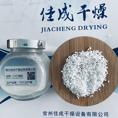 TGIC颗粒-制粒干燥生产线技术